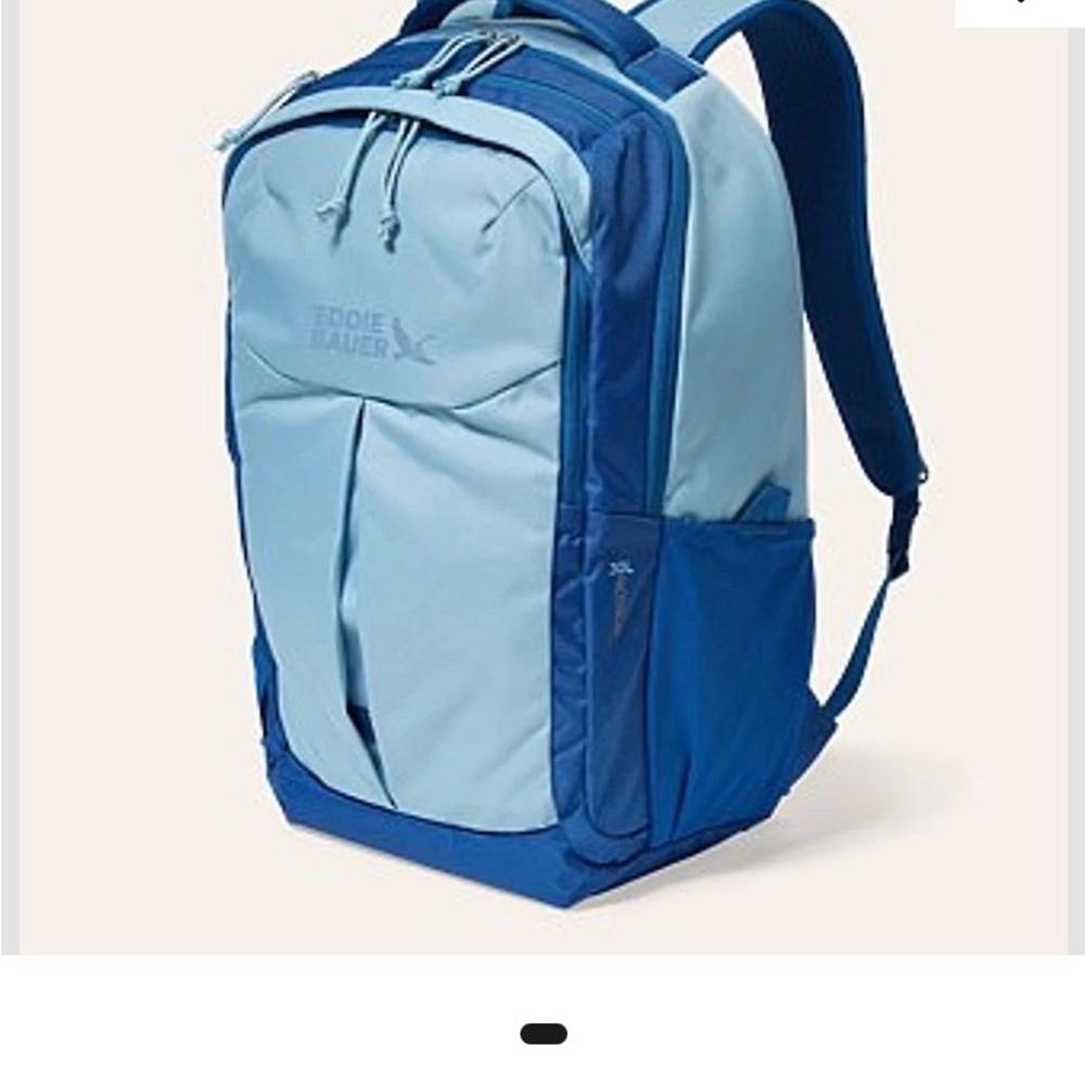 Eddie Bauer 30L Robson Backpack